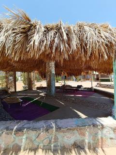 Blue Beach Camp - Nuwebiaa - Wāsiţ - 5