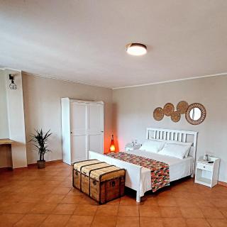 Almarea, a house between the sea and olive trees - 8