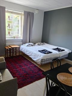 Nice city studio in Tampere - Tampere - 5