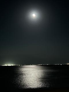 Moonlight Suite - Mashabbe Sade - 9