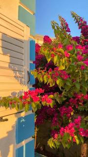Ilir Apartments - Ksamil - 7