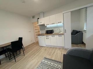 Apartament u Reni 2 pokojowe mieszkanie, 36 m2 , dla 4 osób max 6 osób - Wroclaw - 6