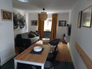 Apartman Hana - Drežnik Grad - 1