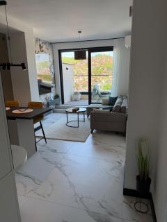 Avenija Penthouse Loft Terrace FreeParking - Sarajevo - 4