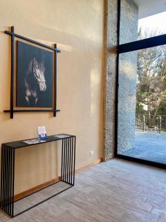 Oconnor Suite Guest - 1