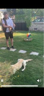 Nur Konak Bungalov 7 - Çanakkale - 6