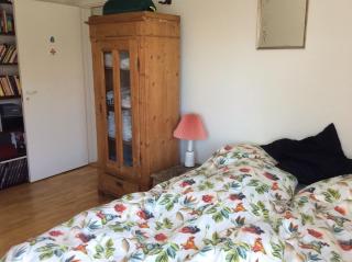 Lovely Apartment at Amagerbro - Copenaghen - 1