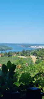 View Point House - Smederevo - 0