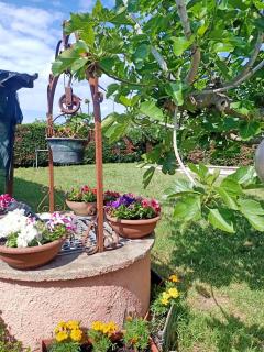 Villa Antonina 2 - Crecchio - 9