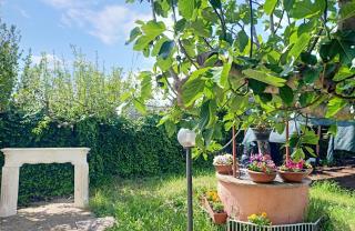 Villa Antonina 2 - Crecchio - 4