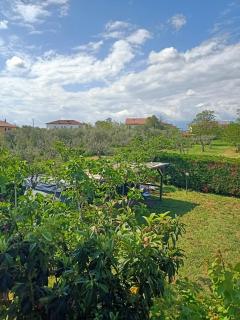 Villa Antonina 2 - 5