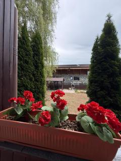 Elitegasthaus Moieciu 2 cazare Bran - Bran - 2