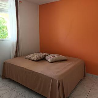 Les Bougainvilliers - 5