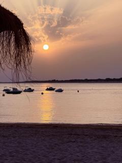 Salmedina - Sanlúcar de Barrameda - 6