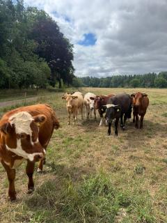 The lodge - Swannington - 2