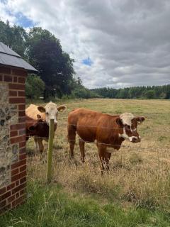 The lodge - Swannington - 3