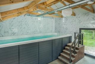 Large fully renovated farmhouse with indoor Swim spa and Sauna - Lemmer - 8