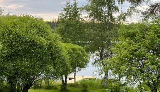 Villa Saimaa - 8