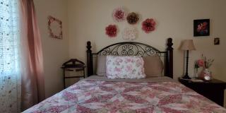 Bear Bluff- pet friendly home on the river! - 4