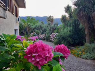 Casa Emilia - Marano Principato - 7