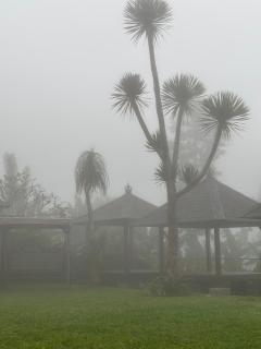 Wana house wanagiri - Gitgit - 8