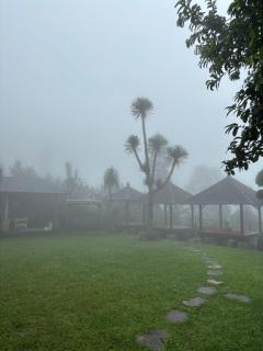 Wana house wanagiri - Gitgit - 9