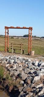 Entre Palmeras y Lavandas - 6