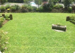 First floor, lake access 2D 2B Parque Pinares - 4