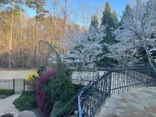Luxury Villa in Cary - Raleigh - Raleigh - 8
