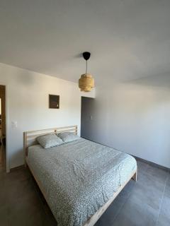 Appartement - St-Jory - Jacuzzi - Proche Toulouse - 1