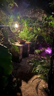 Guajiru kite-safari - 6