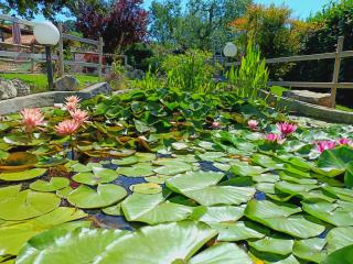 La Rosa dei Trulli B&B - 4