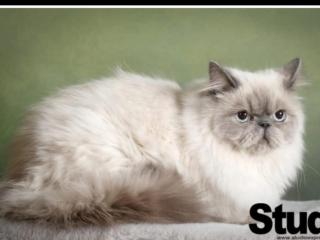 Lila rummet - Rum i familjärt boende, 1 tr upp - Sängkläder och handdukar ingår - 9