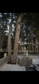 Ενοικιαζόμενα δωμάτια ΣΟΛΩΝΑΣ - 7