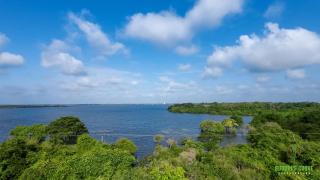 Buddhi's Grove - Anuradhapura - 9