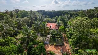 Buddhi's Grove - Anuradhapura - 8