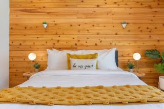 Designer 3B3B in Capitol Hill Pet Friendly - Seattle - 4