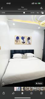 Sohana Homes - Ikeja - 4