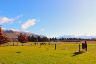 Wanaka Mountain View - Wanaka - 7