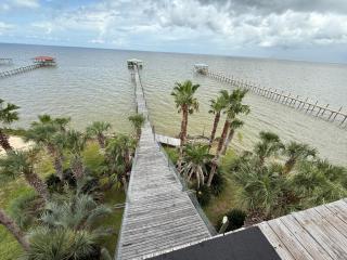 Down on the BAY - - 0