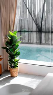 Taradol Premium by Tukta - 9