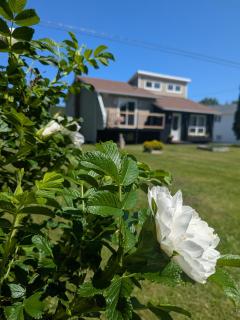 The Tidehouse - - 0