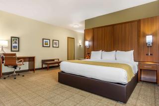 Comfort Inn & Suites Lakewood by JBLM - Lakewood - 6