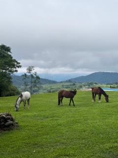 Casa de campo La Apacheta - Raco - 4