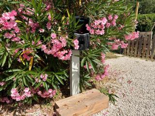 La Picholine - Tourves - 1