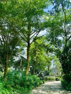 Ming Shan Villa - Dashu - 2