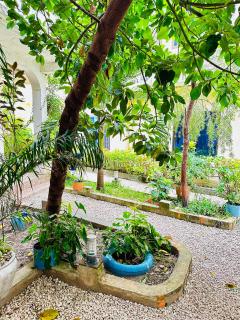 One bedroon and sitting room in Mchina mwisho - - 2