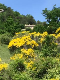 Gîte Fonfroide, Drome Provençale - La Motte-Chalançon - 8