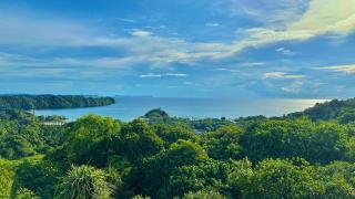 Palau Carolines Resort - Koror - 6