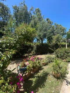 Magione B&B - Sant'Agata de' Goti - 1